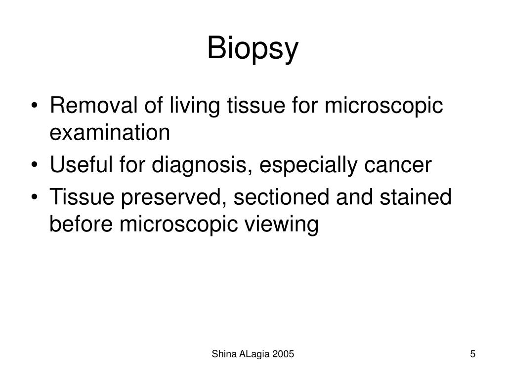 PPT Chapter 4 The Tissue Level of Organization PowerPoint