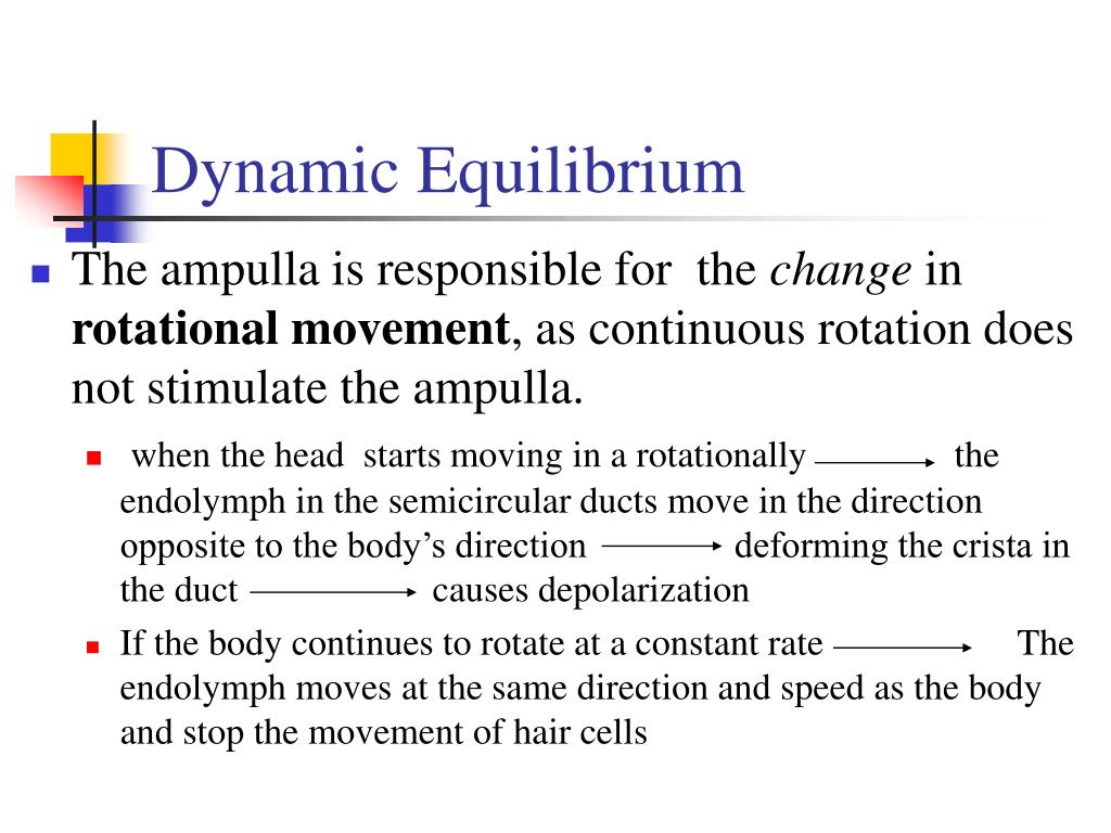 PPT Equilibrium I & II PowerPoint Presentation ID307330