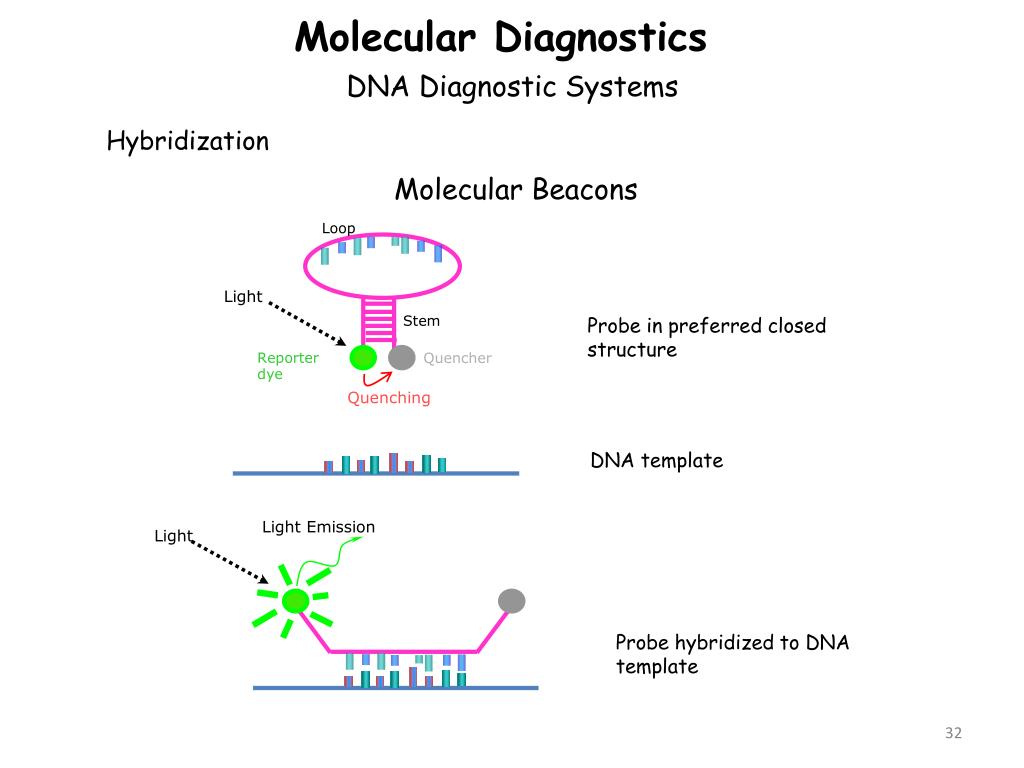PPT MOLECULAR DIAGNOSTICS PowerPoint Presentation, free download ID