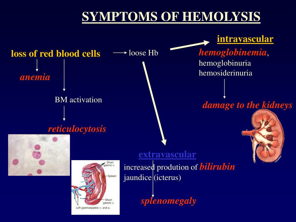 PPT Hematologic examination PowerPoint Presentation ID308393