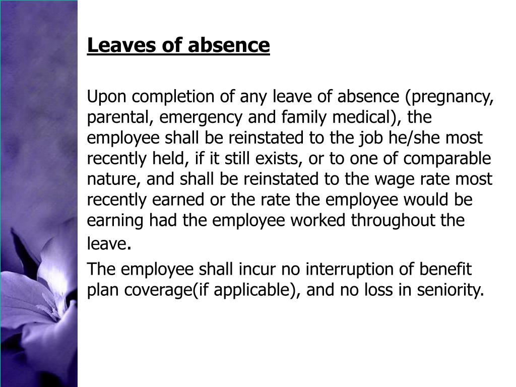 PPT Employment Standards Act 2000 PowerPoint Presentation, free