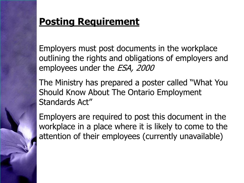 PPT Employment Standards Act 2000 PowerPoint Presentation, free