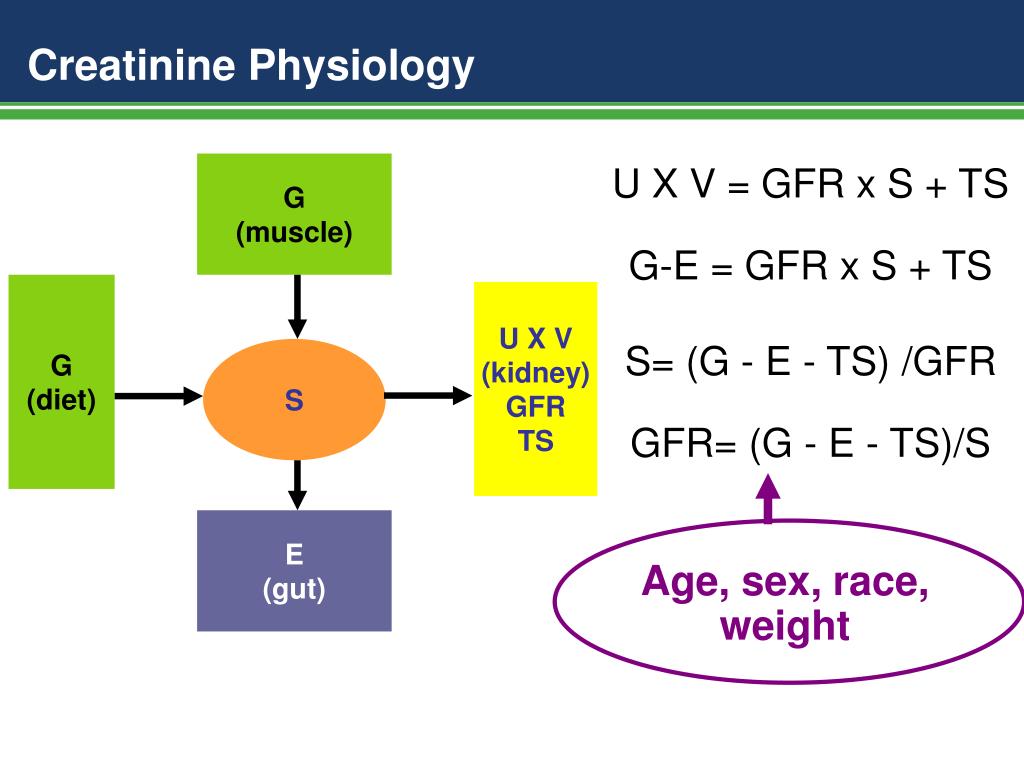PPT Estimated GFR Based on Creatinine and Cystatin C PowerPoint