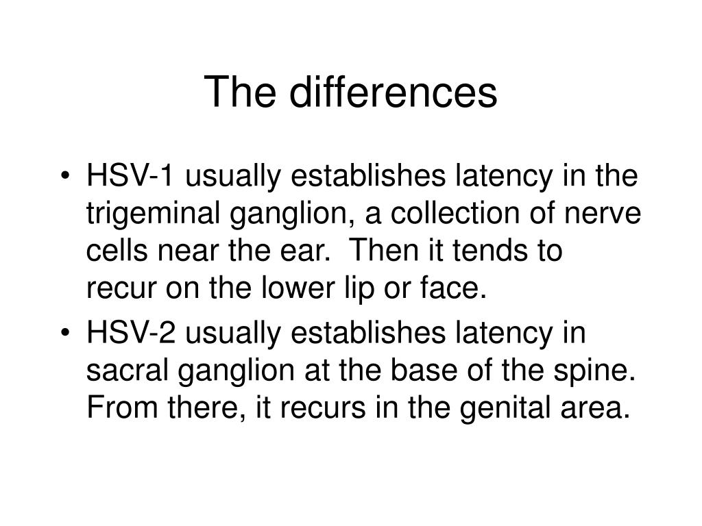 PPT What is the difference between HSV1 and HSV2? PowerPoint