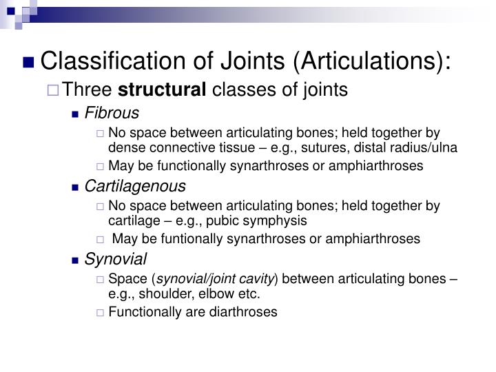 PPT Articulations Chapter 8 PowerPoint Presentation ID311230