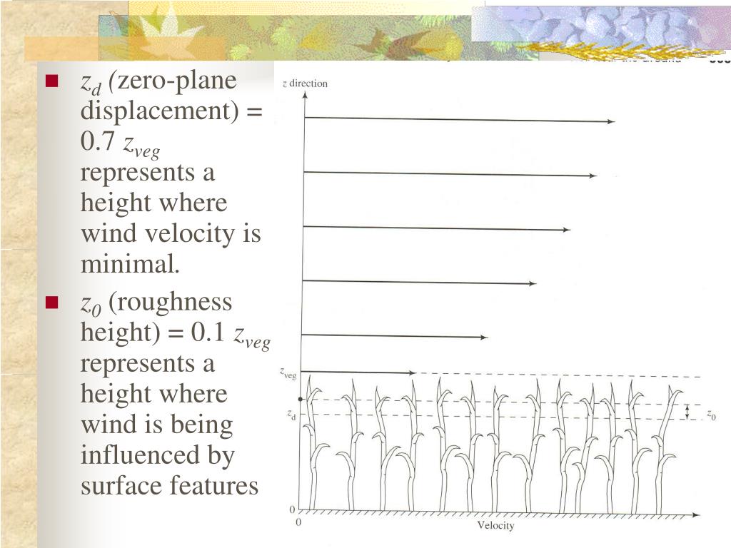 PPT Evapotranspiration PowerPoint Presentation, free download ID311711
