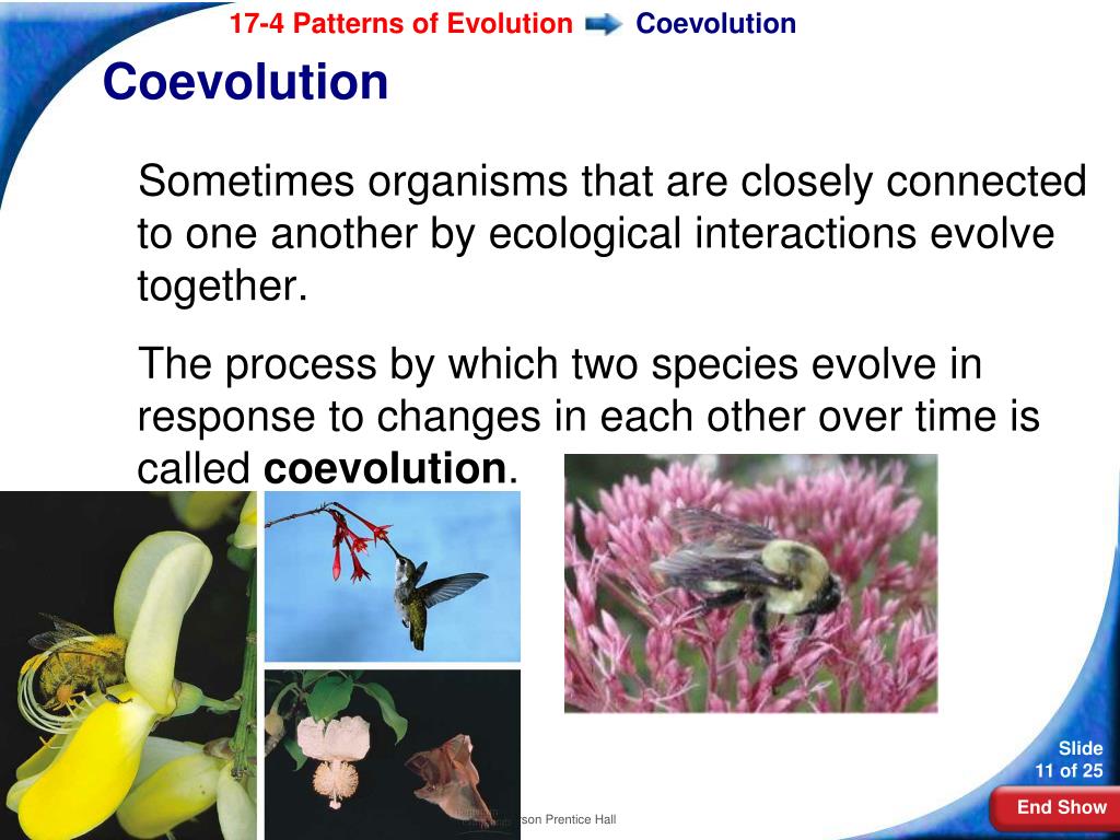 PPT Biology PowerPoint Presentation, free download ID311929