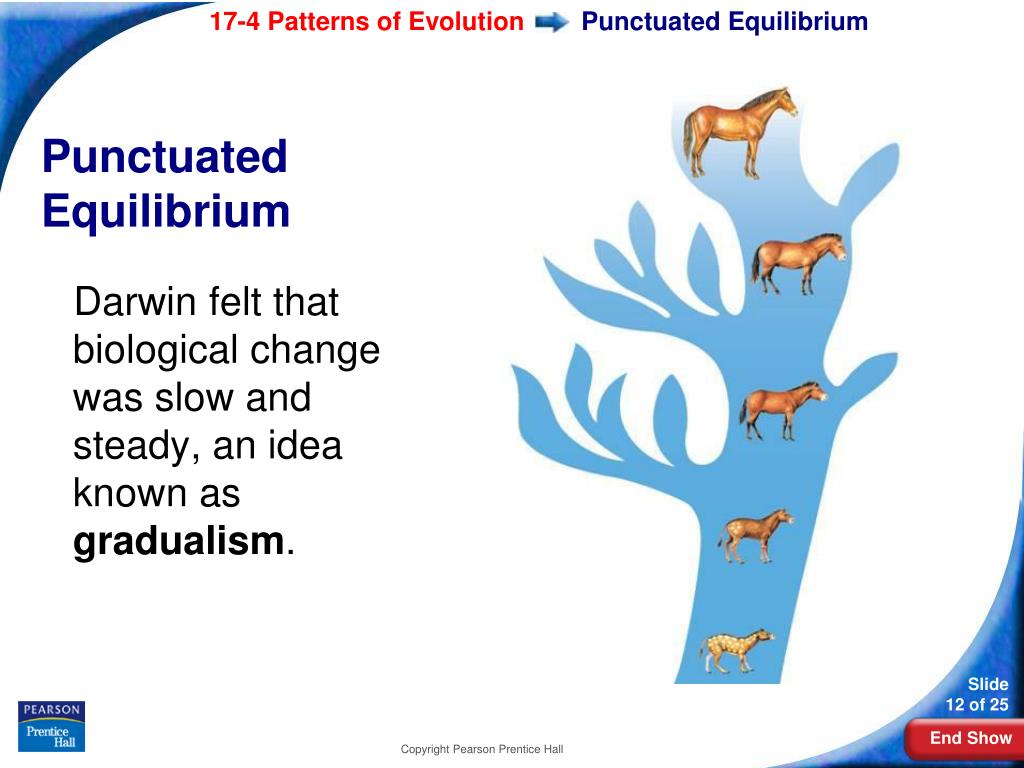 PPT Biology PowerPoint Presentation, free download ID311929