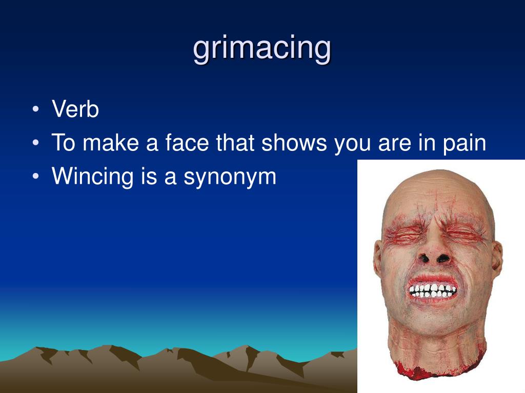 PPT Hatchet Chapter 1 Objective Use Context Clues to determine the