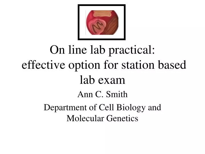 PPT On line lab practical effective option for station based lab