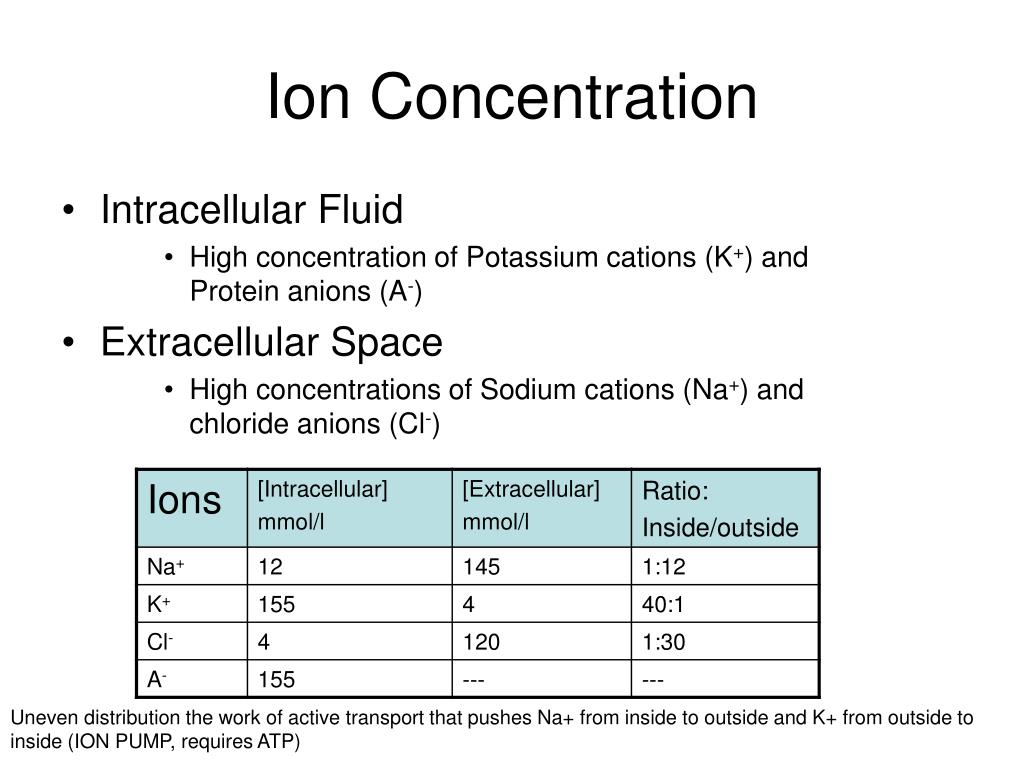 PPT Lecture 12 Electromyography PowerPoint Presentation, free