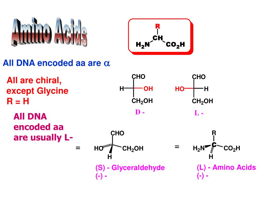 PPT Amino Acids, Peptides and Proteins PowerPoint Presentation, free