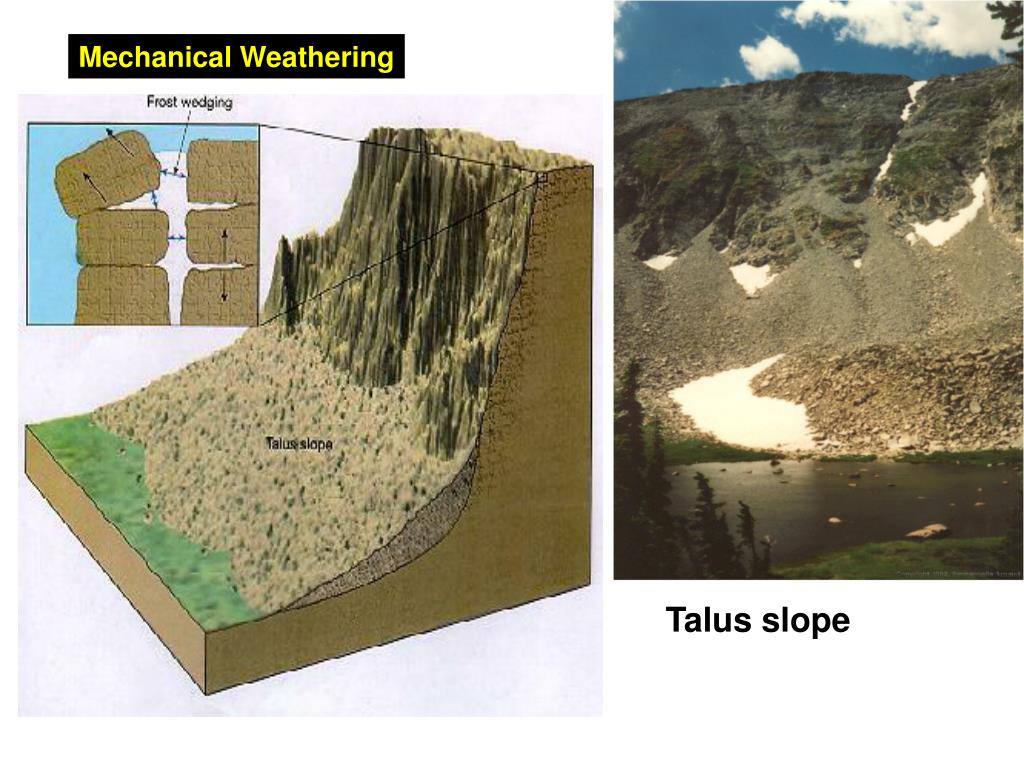 PPT - Weathering PowerPoint Presentation - ID:314211