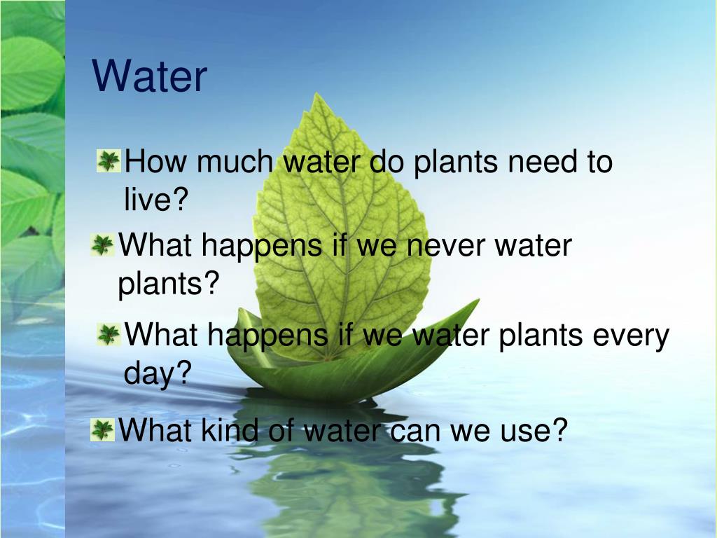 PPT What do Plants Need to Live? PowerPoint Presentation, free