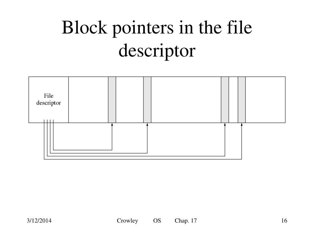 PPT File System Organization PowerPoint Presentation, free download