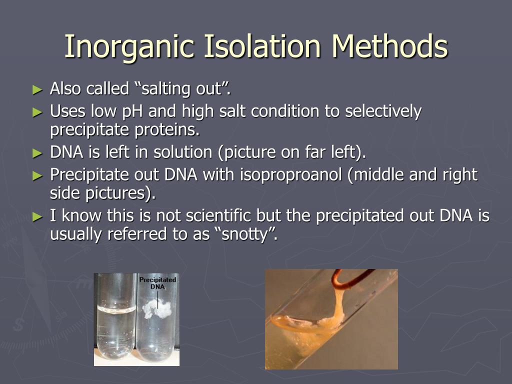 PPT Unit 6 Nucleic Acid Extraction Methods PowerPoint Presentation