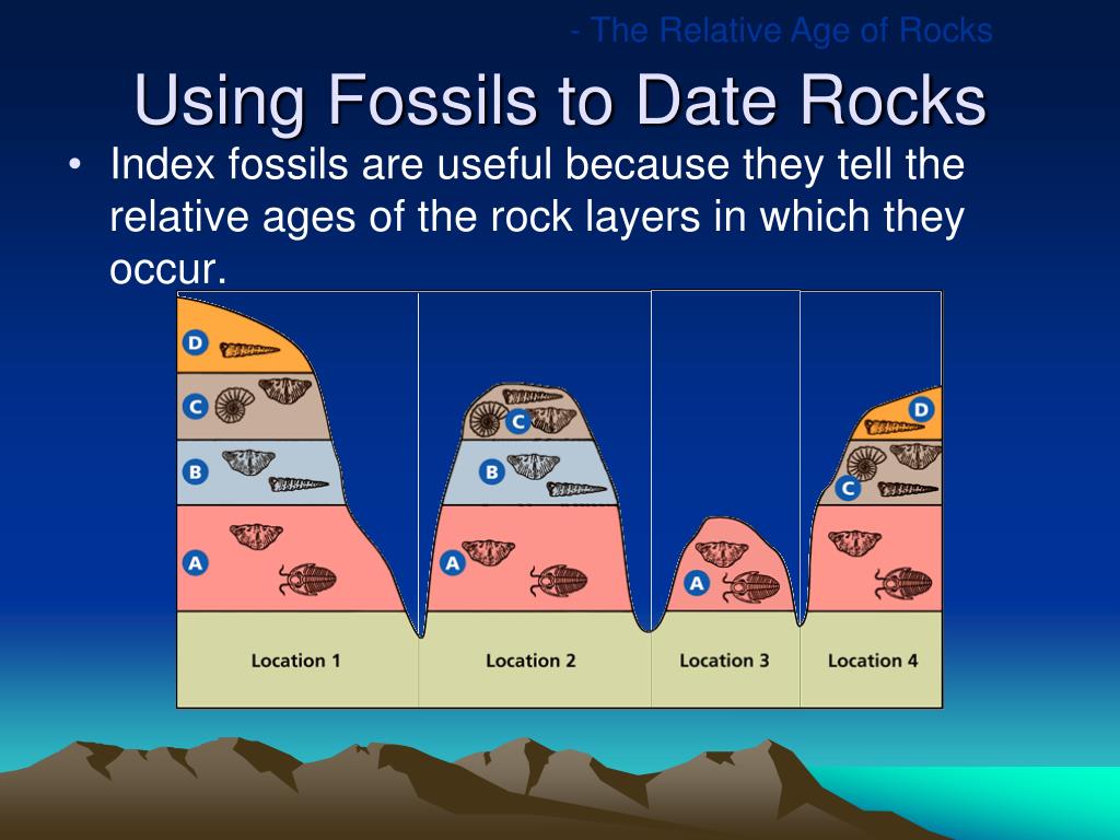 PPT Fossils PowerPoint Presentation, free download ID318350