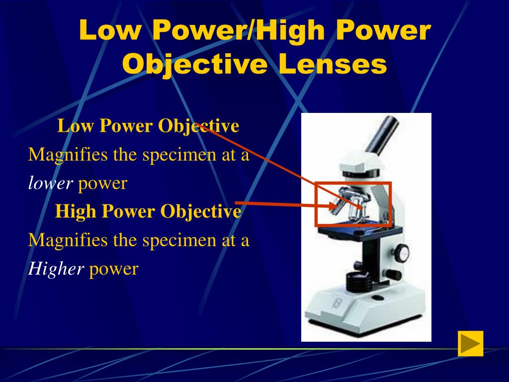 PPT Parts of Microscopes PowerPoint Presentation, free download ID
