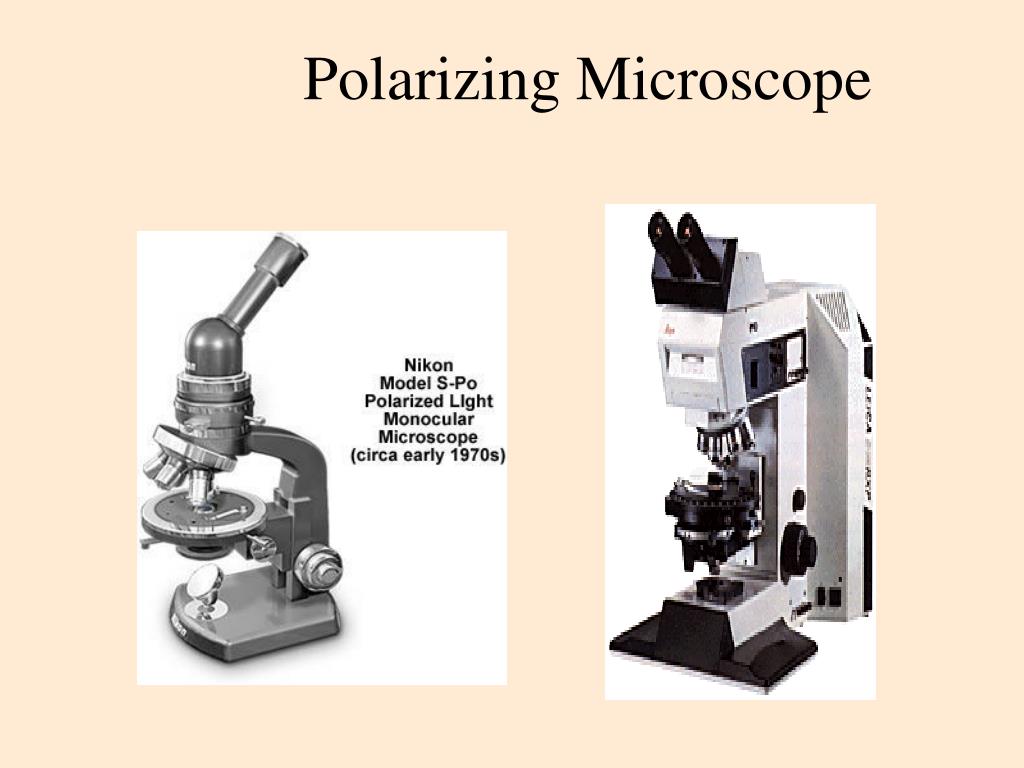 PPT Ch 7 The Microscope PowerPoint Presentation, free download ID318594