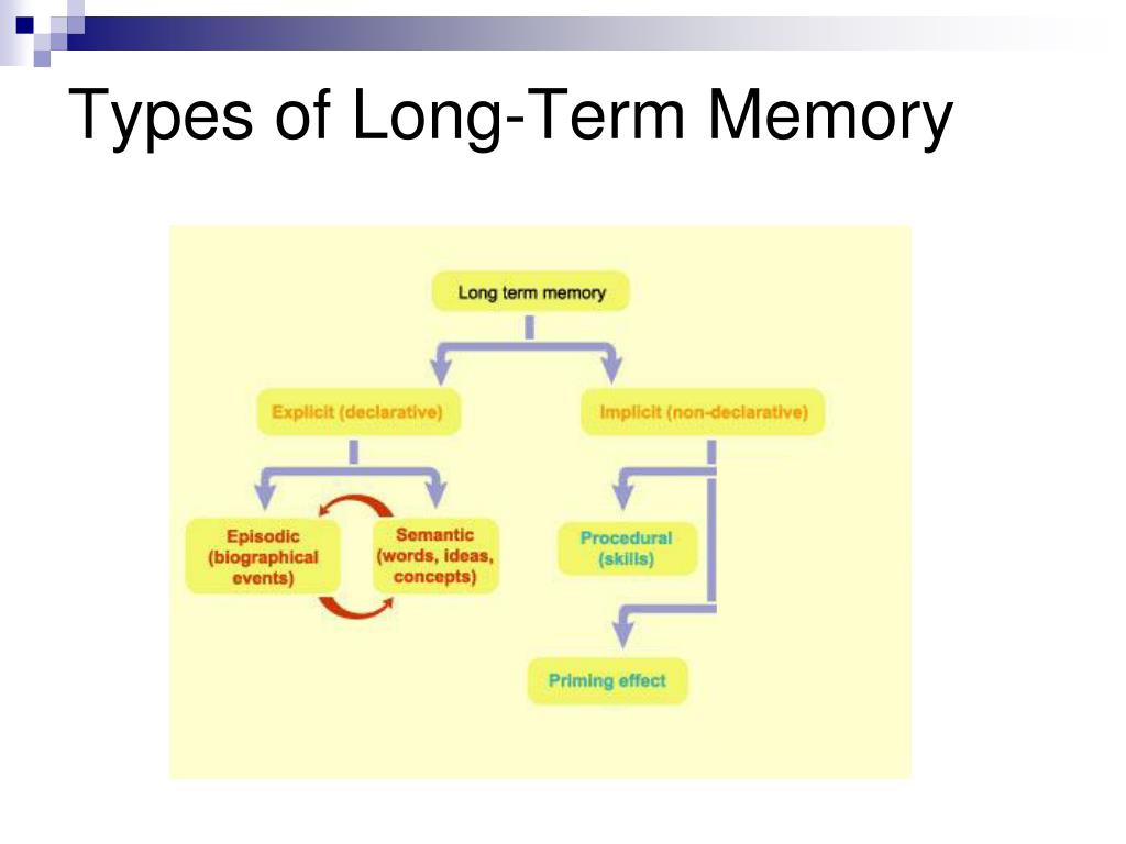 PPT Memory for General Knowledge PowerPoint Presentation, free