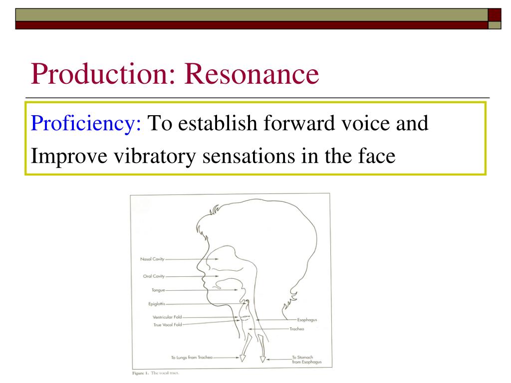 PPT Voice Therapy for Elementary SchoolAge Children PowerPoint