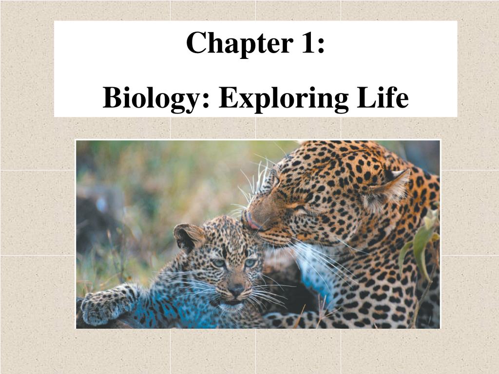 PPT Chapter 1 Biology Exploring Life PowerPoint Presentation, free