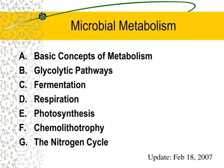 PPT Microbial Metabolism PowerPoint Presentation, free