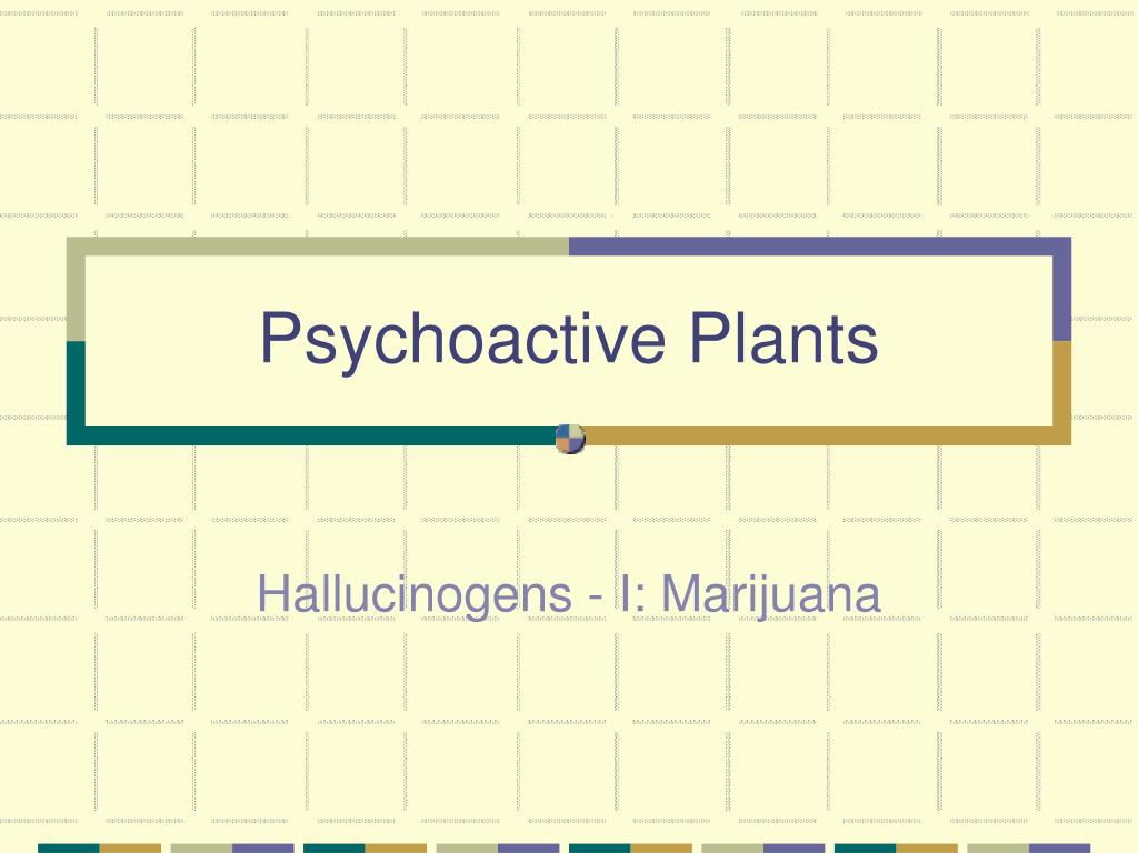 PPT Psychoactive Plants PowerPoint Presentation, free download ID