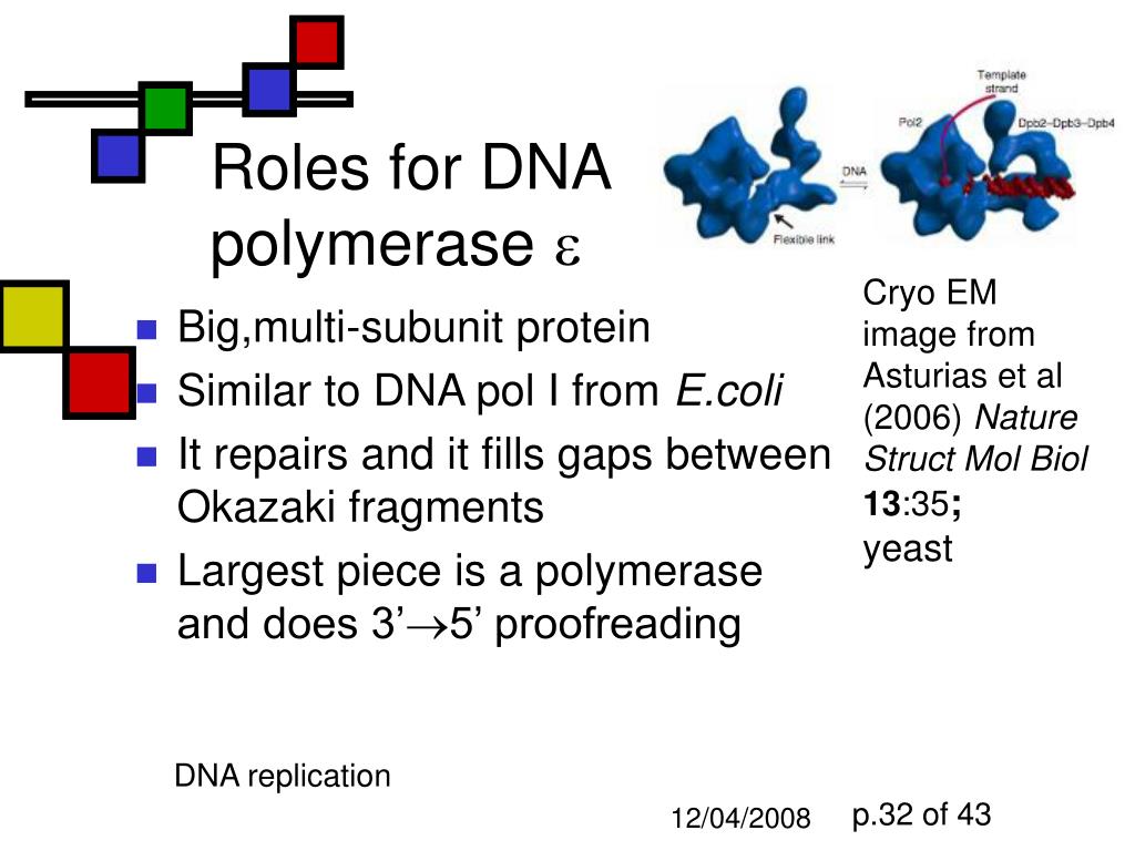 PPT DNA replication PowerPoint Presentation ID327428