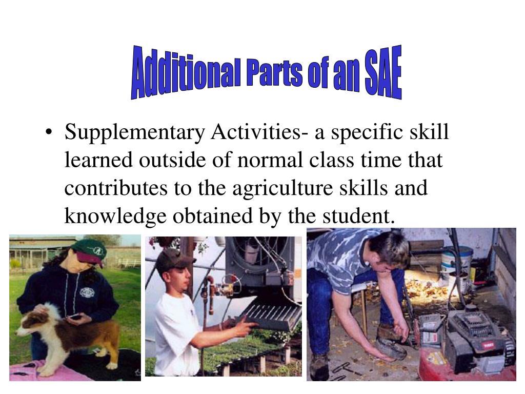 PPT INTRODUCTION TO SAE PROGRAMS PowerPoint Presentation, free