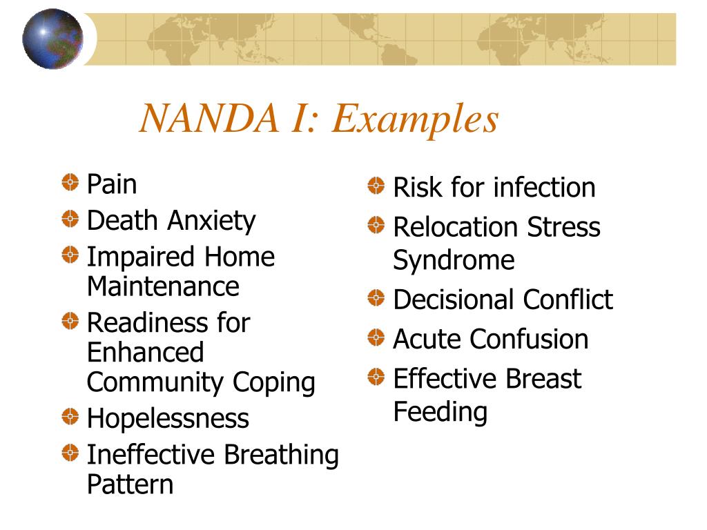 PPT The Need for and Use of Standardized Nursing Languages (SNLs) for