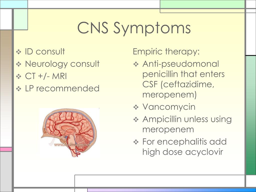 PPT Febrile Neutropenia A Review of the Guidelines