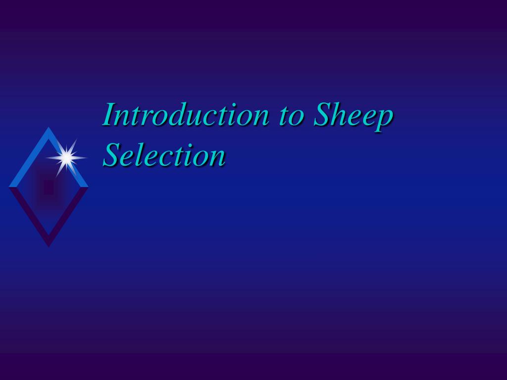PPT Introduction to Livestock Judging and Evaluation PowerPoint
