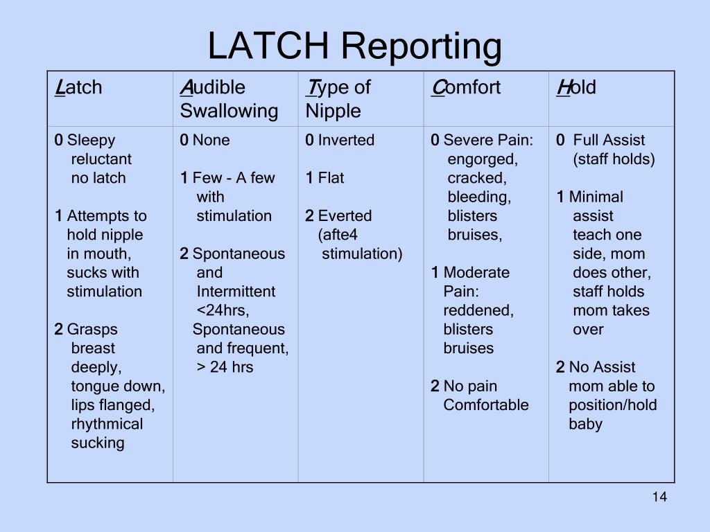 PPT Assessment and Documentation of Feedings PowerPoint Presentation