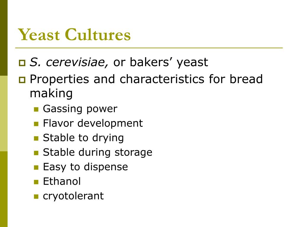 PPT Bread Fermentation PowerPoint Presentation, free download ID330042