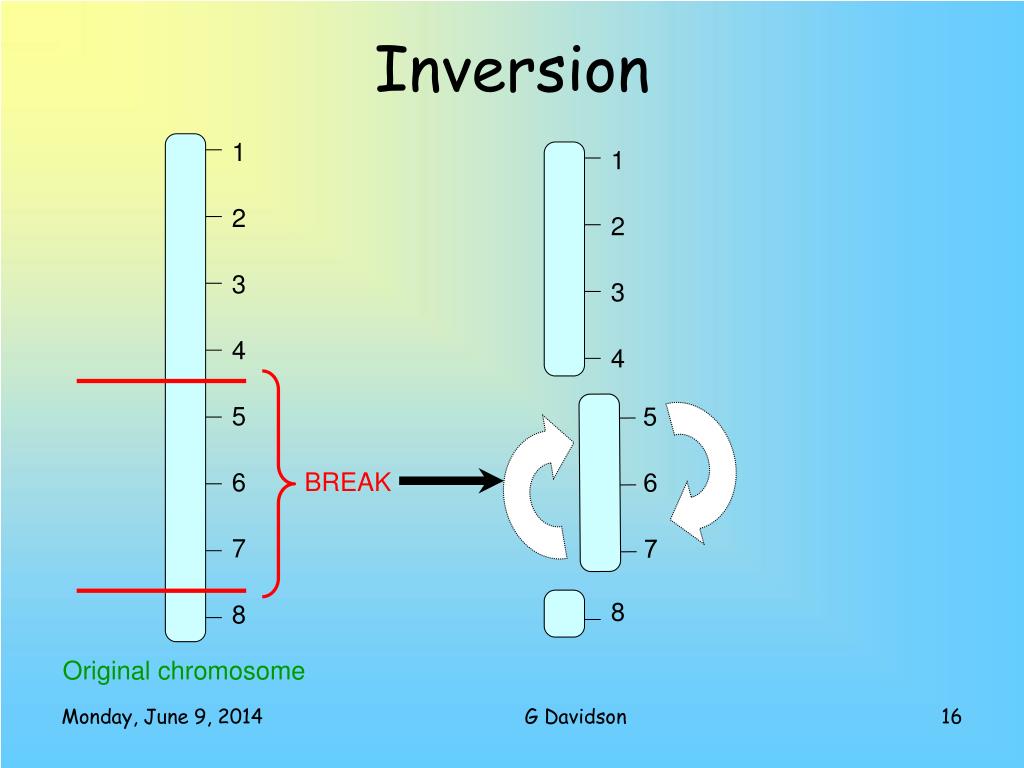 PPT Higher Biology PowerPoint Presentation, free download ID330559