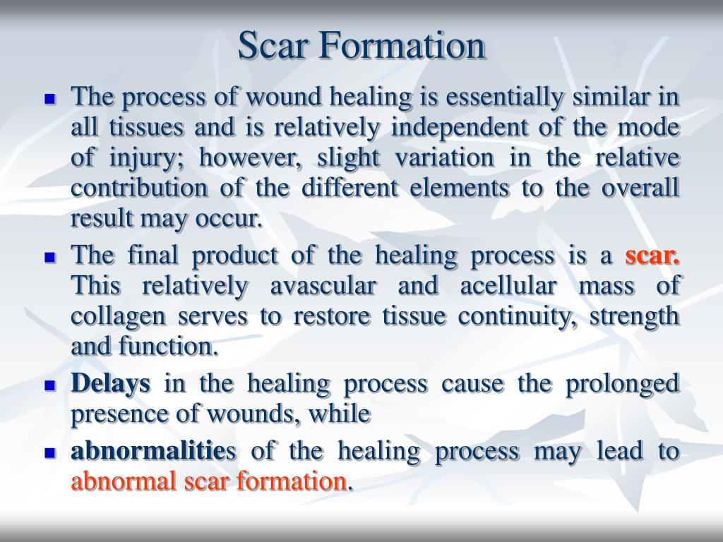 PPT Wound healing PowerPoint Presentation ID331421