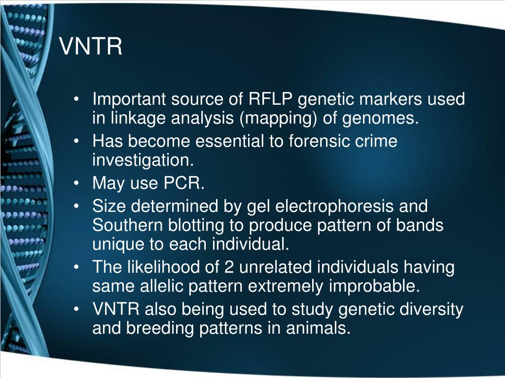 PPT VNTR, STR and RFLP PowerPoint Presentation, free download ID332059