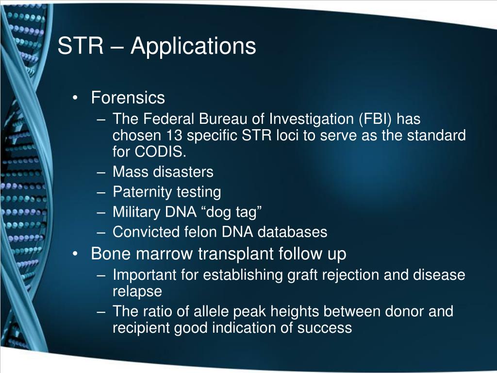 PPT VNTR, STR and RFLP PowerPoint Presentation, free download ID332059