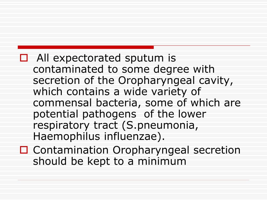 PPT Sputum Culture and Throat Swab PowerPoint Presentation ID332967