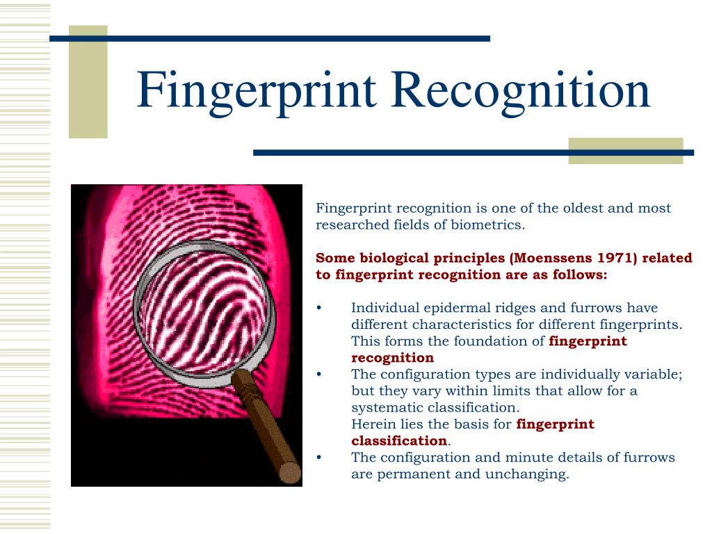 PPT Fingerprint Recognition PowerPoint Presentation, free download ID333191