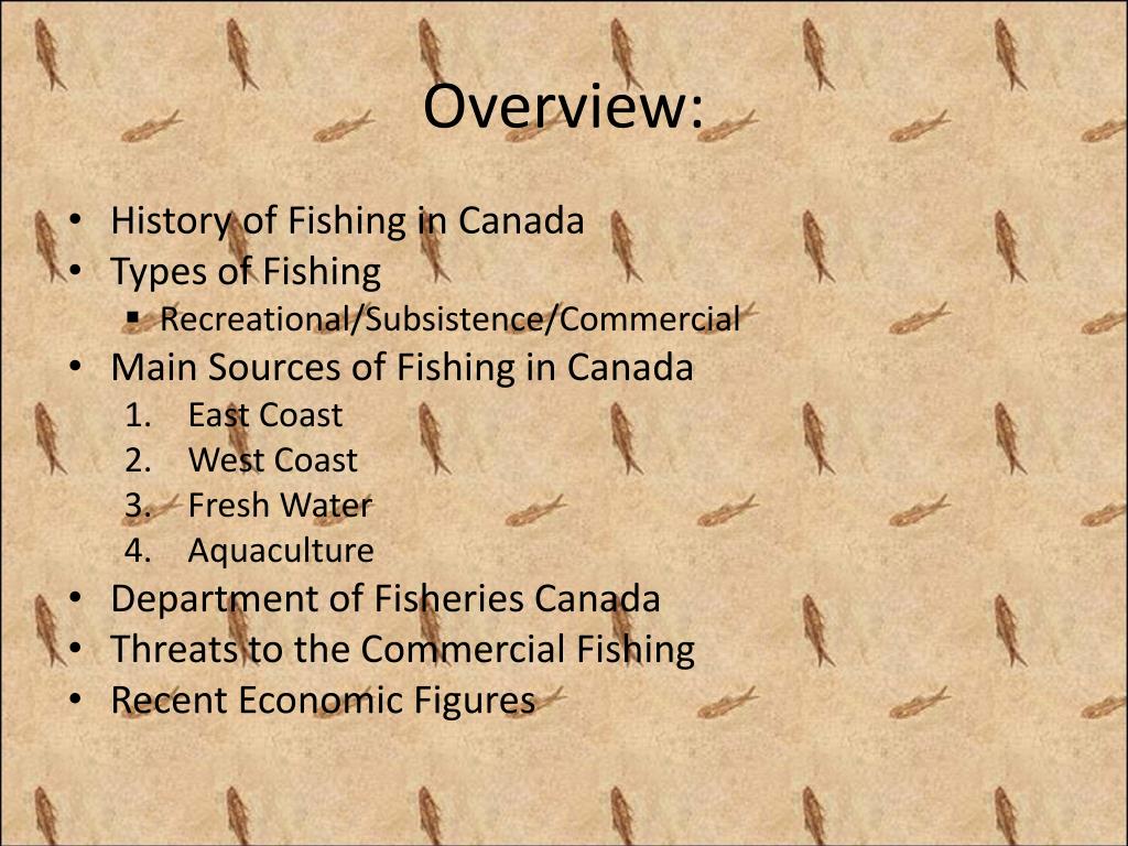PPT INTRODUCTION TO FISHING PowerPoint Presentation, free download