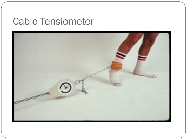 PPT Muscle Strength Testing PowerPoint Presentation ID334515