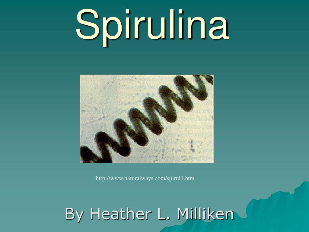 PPT - Spirulina PowerPoint Presentation, free download - ID:334581