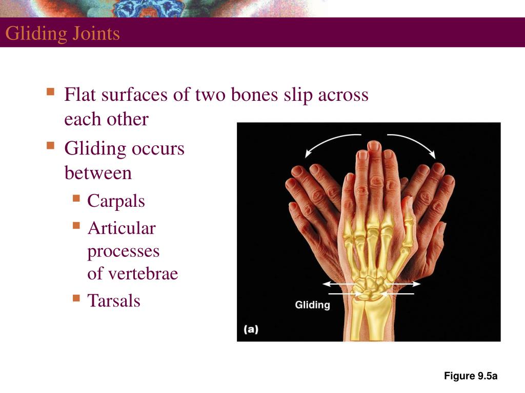 PPT Joints PowerPoint Presentation, free download ID335281