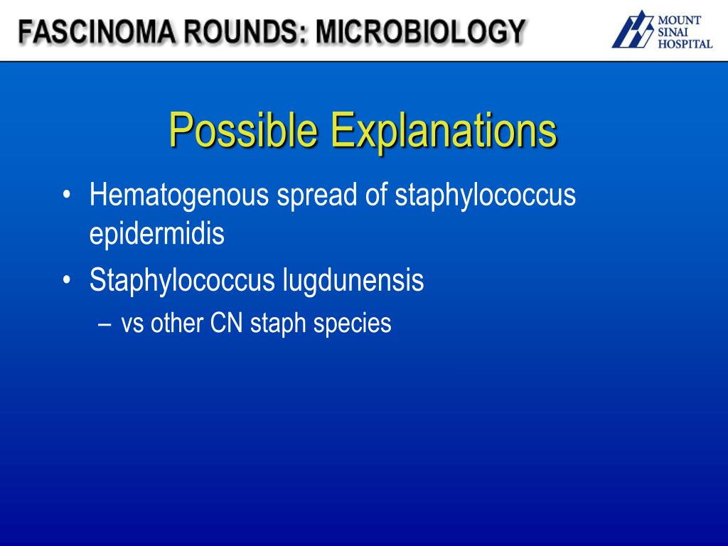 PPT Fascinoma Rounds Coagulase negative staphylococcus