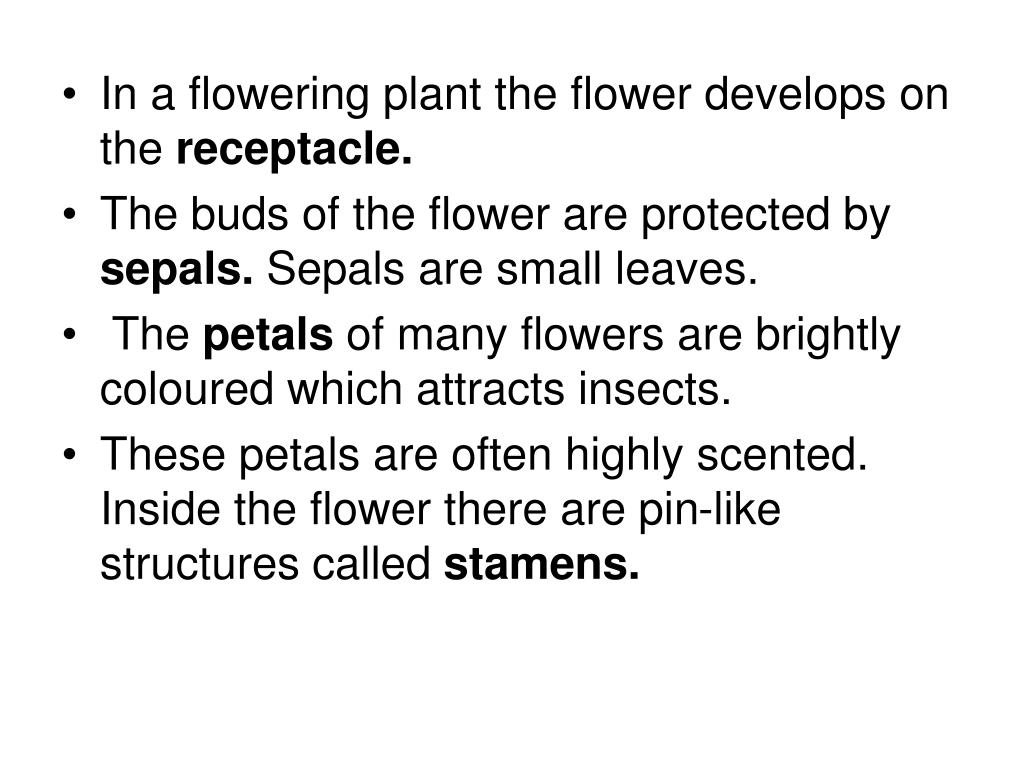 PPT Reproduction in plants PowerPoint Presentation, free download