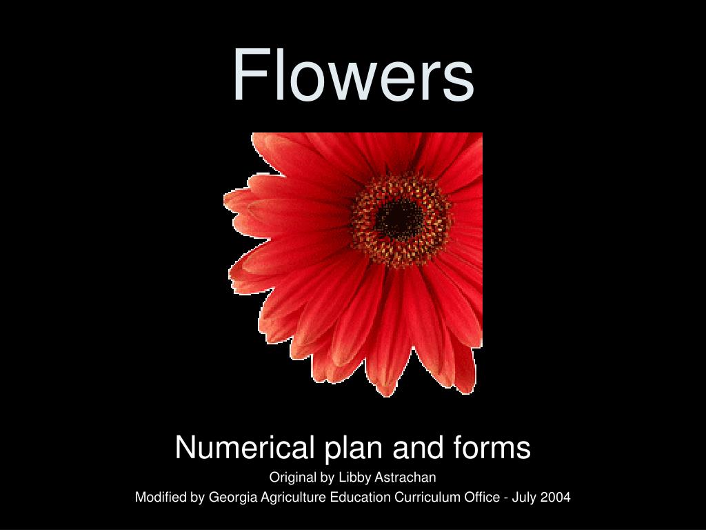 PPT Flowers PowerPoint Presentation, free download ID336609