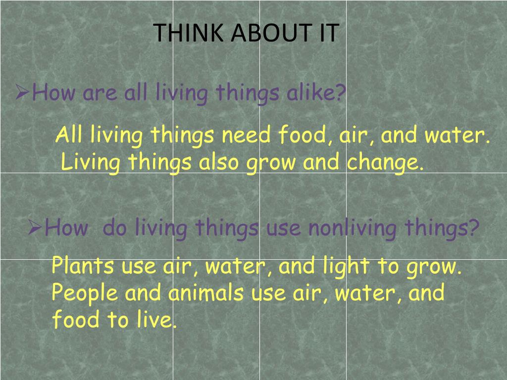 PPT CHAPTER 1 Plants Grow and Change PowerPoint Presentation, free