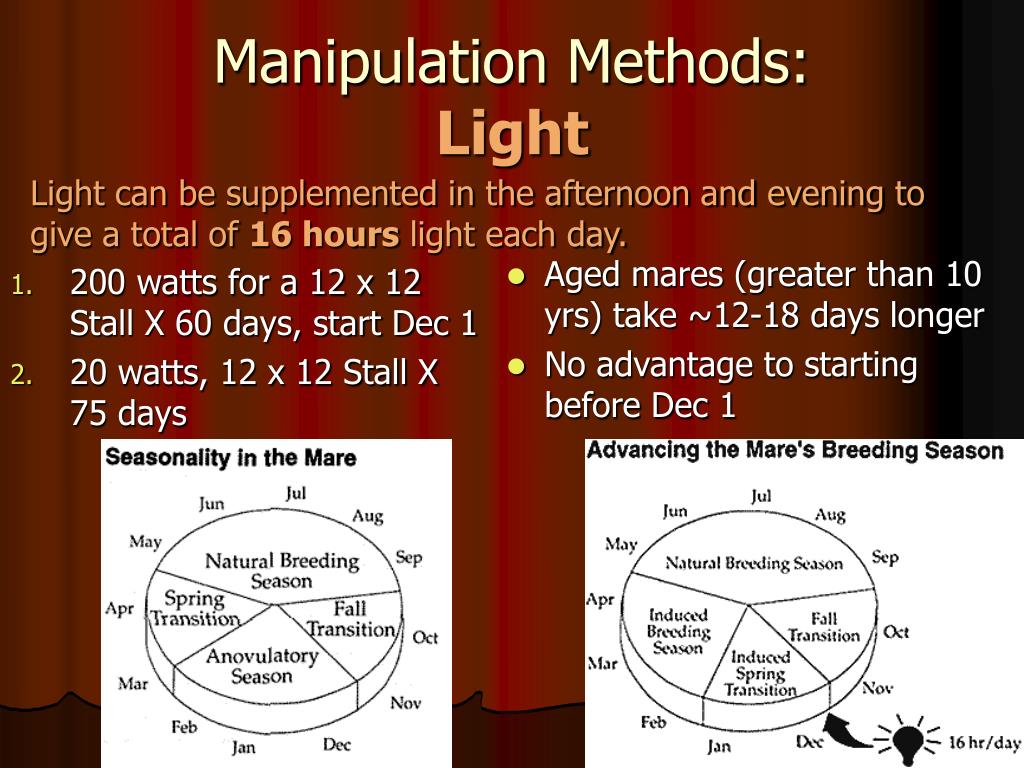 PPT The Estrous Cycle of Mare its Manipulation & Artificial Control